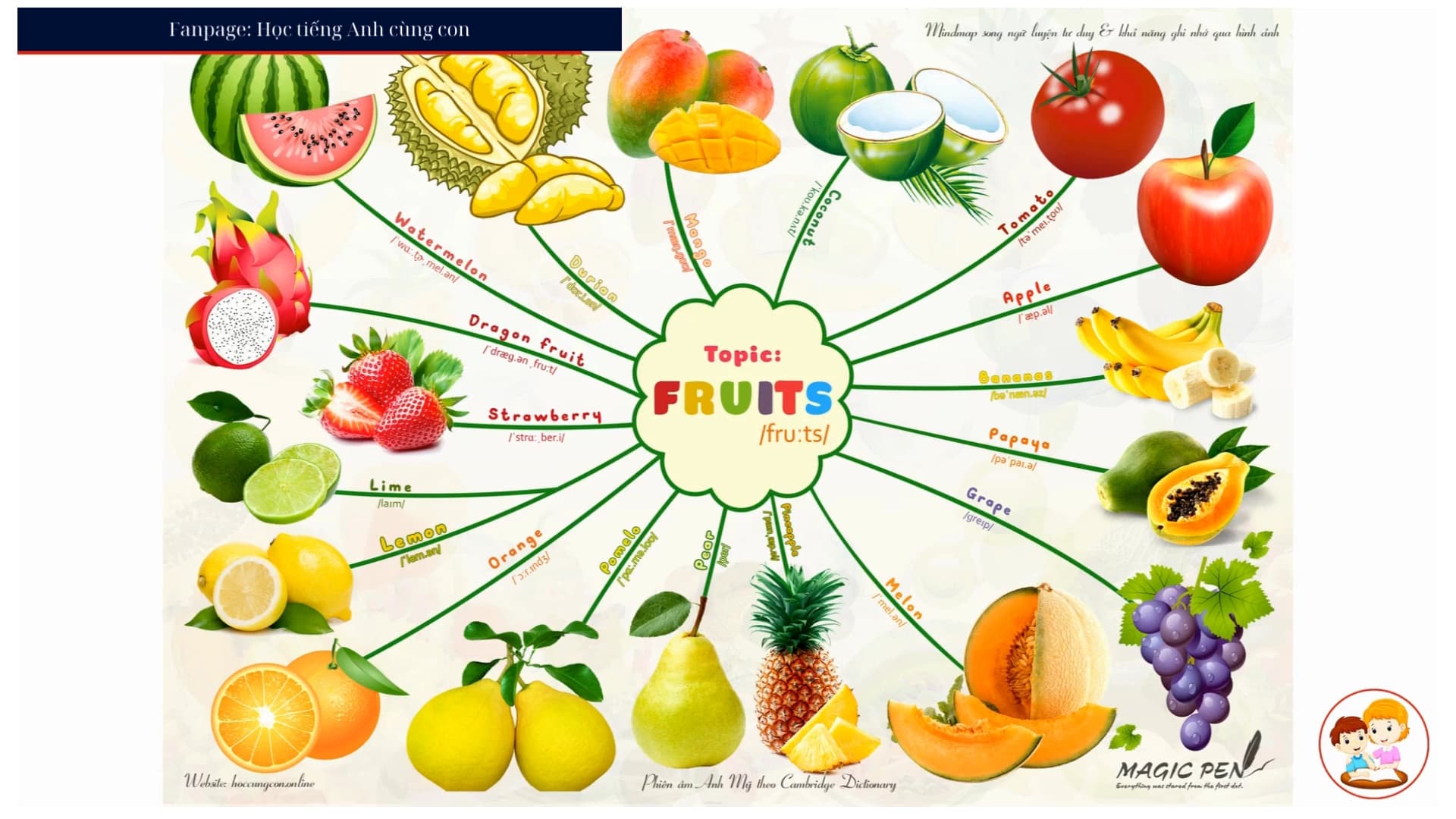 Topic: Fruits (Trái cây)